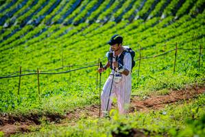 BIB: 260
                            <button type="button" onclick="openModal(19161910)" class="btn btn-primary btn-sm float-right btn-popup" data-toggle="modal" data-target=".modal-high-quality">
                        <i class="fas fa-shopping-cart"></i> Add to Cart
                    </button>
                                            <button type="button" onclick="isThisMe(19161910, true)" class="btn btn-success btn-sm float-right btn-popup btn-isme hidden" data-toggle="tooltip" data-placement="bottom" title="นี่คือรูปของคุณใช่ไหม คลิกที่นี่เพื่อเอาเข้าอัลบั้ม">
                        <i class="fas fa-plus"></i> Add to album
                    </button>
                    <button type="button" onclick="isThisMe(19161910, false)" class="btn btn-warning btn-sm float-right btn-popup btn-isnotme hidden">
                        <i class="fas fa-ban"></i> Remove from album
                    </button>